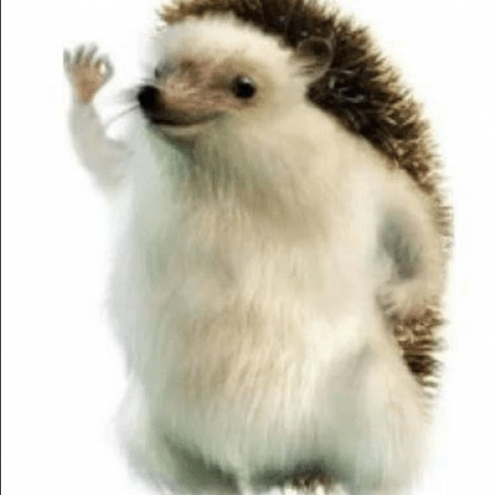 Meet your Posher, Gillian